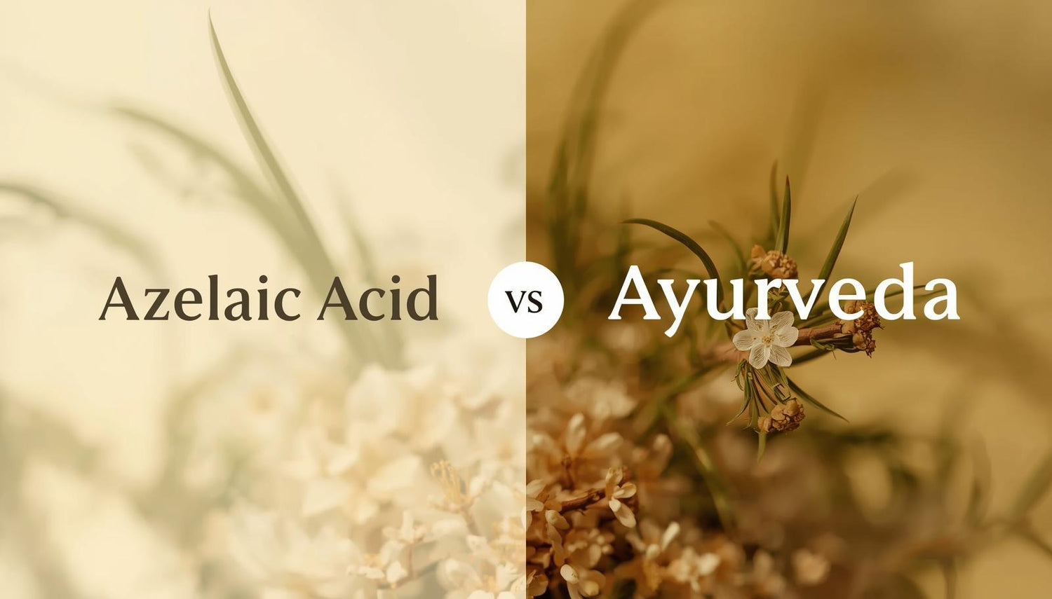 Azelaic Acid vs Ayurveda: The Natural Skincare Secret Modern Dermatology Forgot